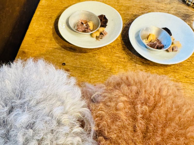 fujiyacoffeeのわんちゃん用おやつ