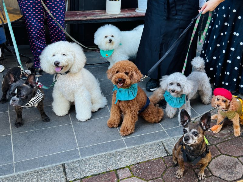 DOG’S Morning開催日のfujiyacoffee店内